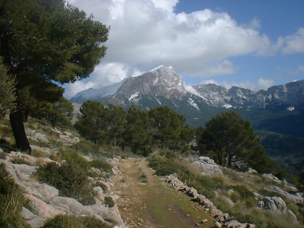 Serra de Tramuntana